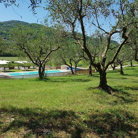 Il Vecchio Gelso - Agriturismo Rimini Montefiore Conca别墅 外观 照片
