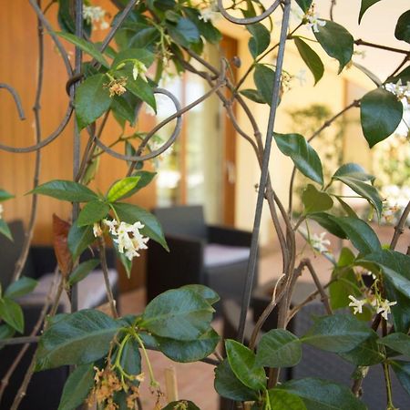 Il Vecchio Gelso - Agriturismo Rimini Montefiore Conca别墅 外观 照片