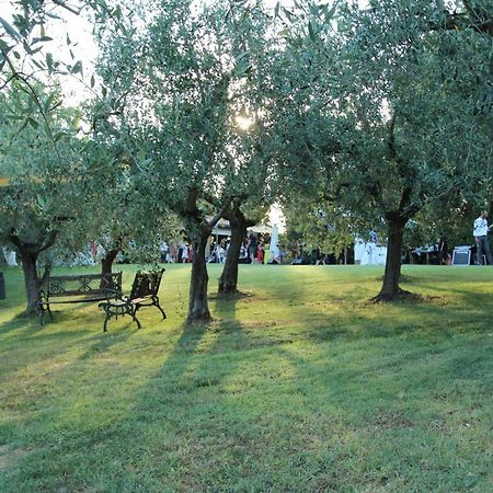 Il Vecchio Gelso - Agriturismo Rimini Montefiore Conca别墅 外观 照片