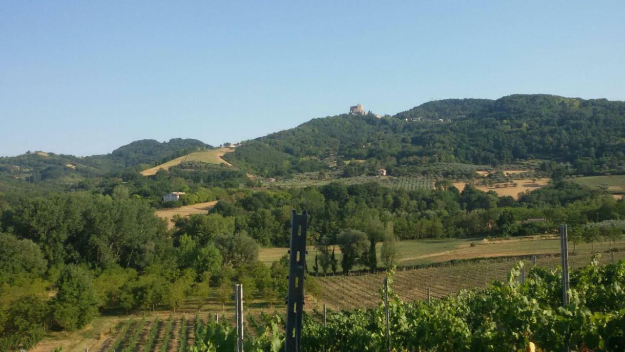 Il Vecchio Gelso - Agriturismo Rimini Montefiore Conca别墅 外观 照片