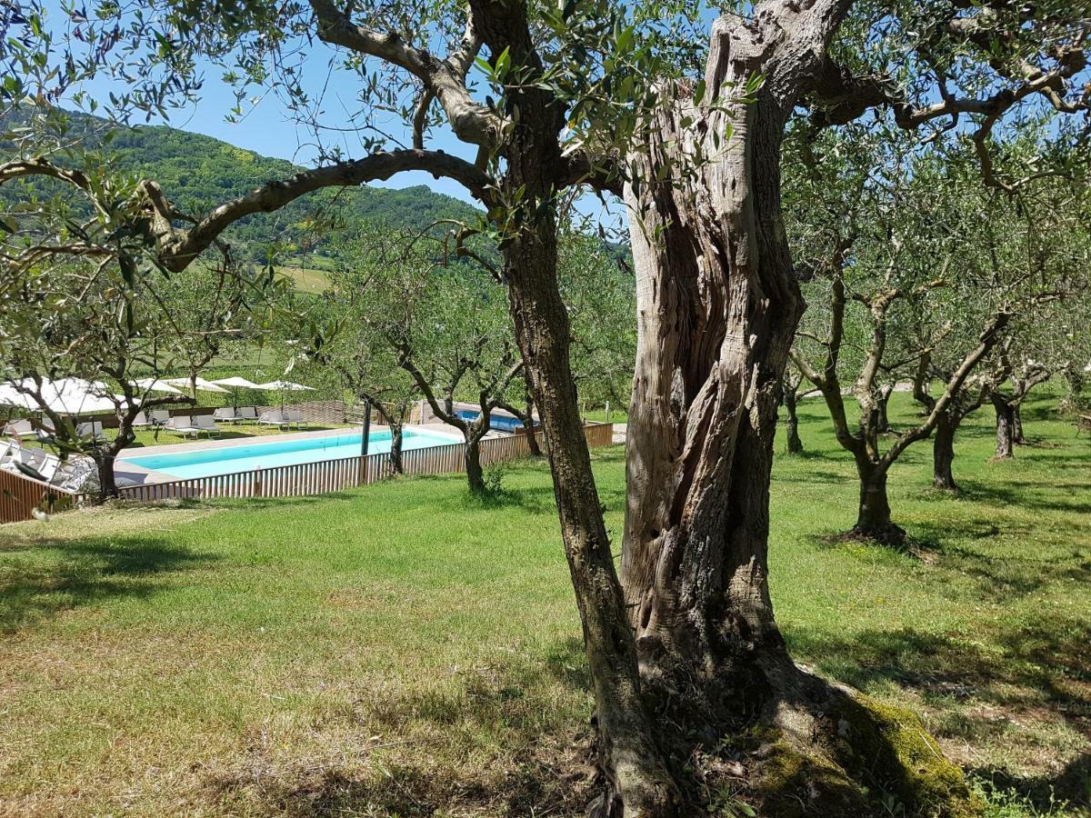 Il Vecchio Gelso - Agriturismo Rimini Montefiore Conca别墅 外观 照片