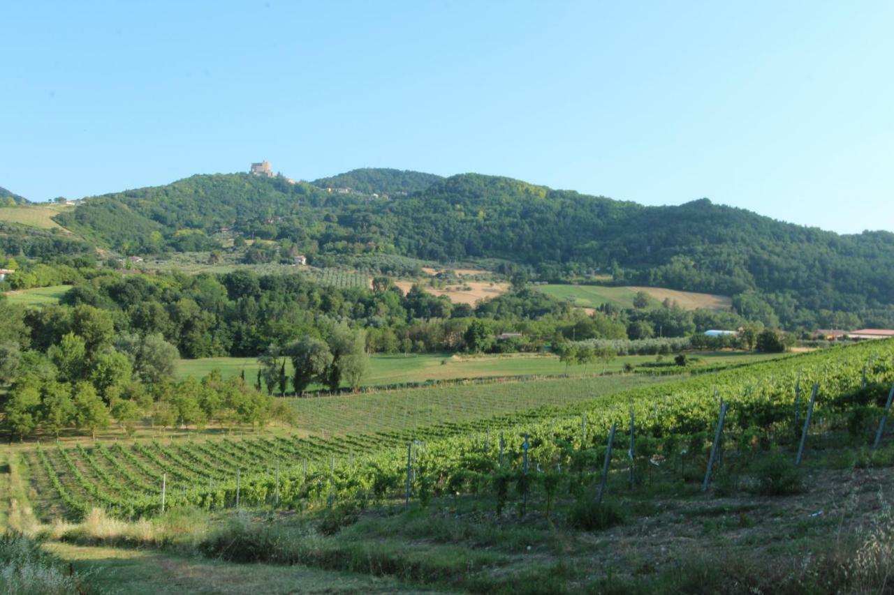 Il Vecchio Gelso - Agriturismo Rimini Montefiore Conca别墅 外观 照片