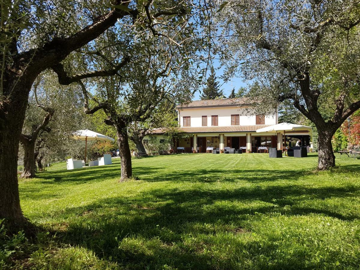 Il Vecchio Gelso - Agriturismo Rimini Montefiore Conca别墅 外观 照片