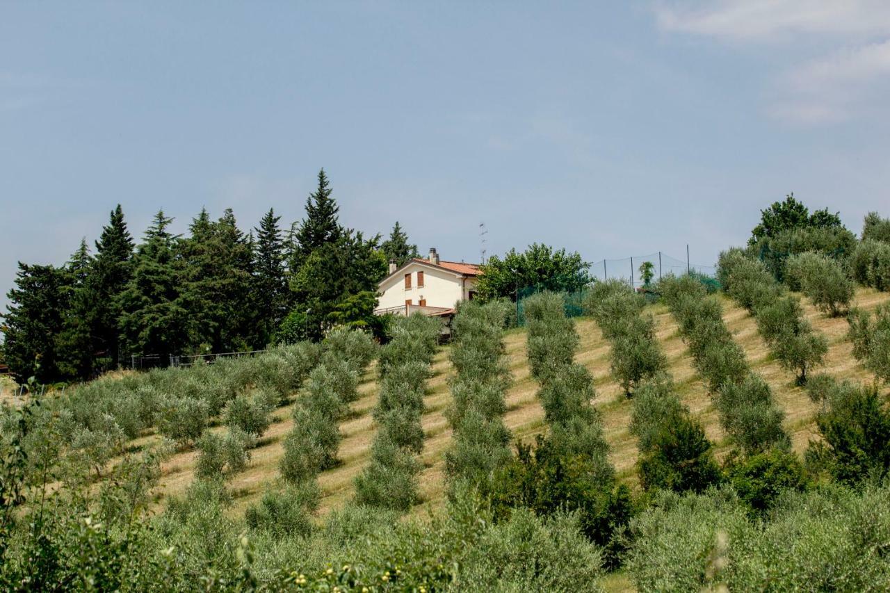 Il Vecchio Gelso - Agriturismo Rimini Montefiore Conca别墅 外观 照片