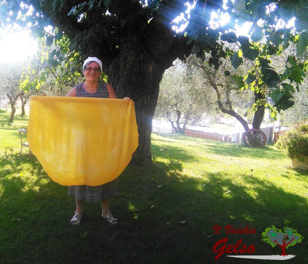 Il Vecchio Gelso - Agriturismo Rimini Montefiore Conca别墅 外观 照片