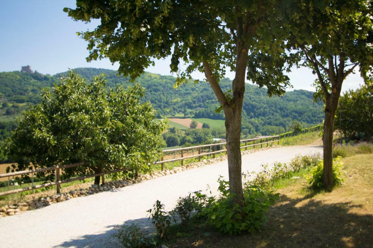 Il Vecchio Gelso - Agriturismo Rimini Montefiore Conca别墅 外观 照片