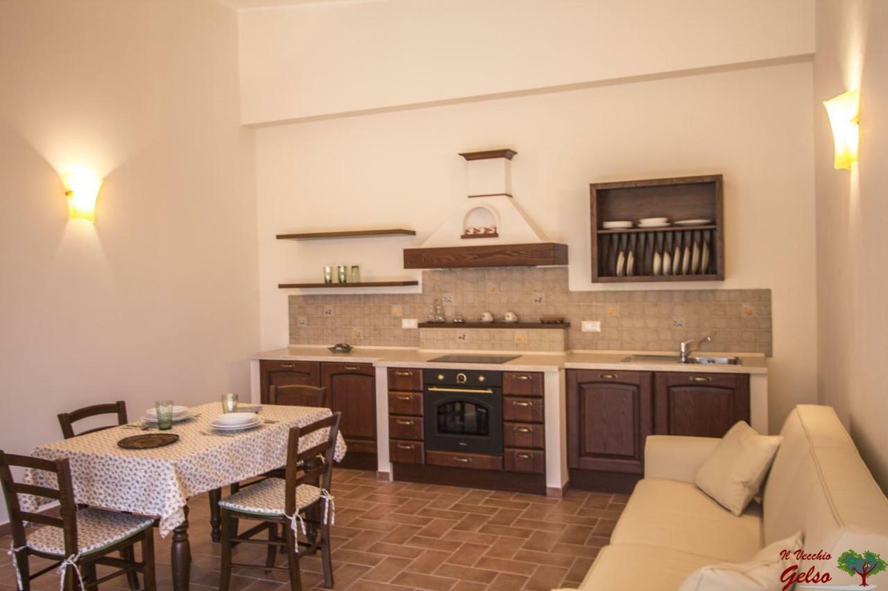 Il Vecchio Gelso - Agriturismo Rimini Montefiore Conca别墅 外观 照片