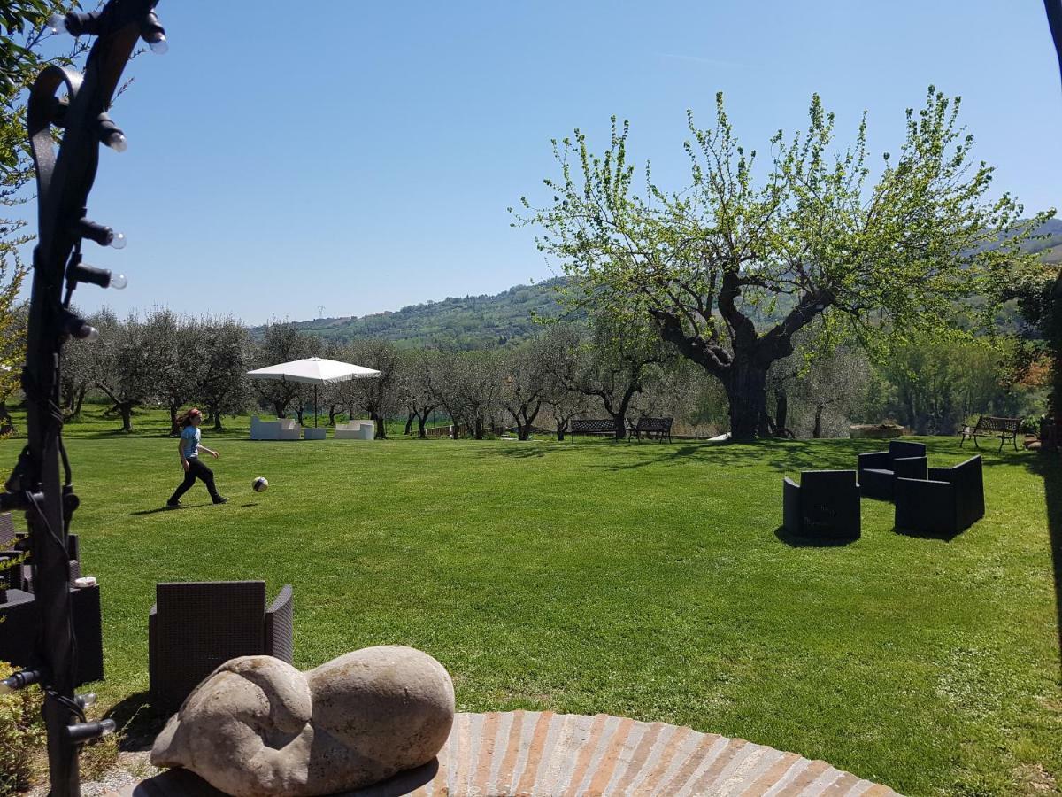 Il Vecchio Gelso - Agriturismo Rimini Montefiore Conca别墅 外观 照片