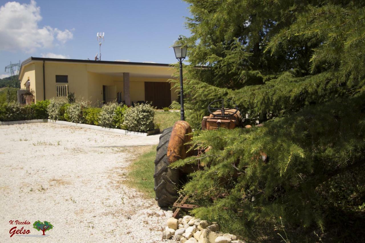 Il Vecchio Gelso - Agriturismo Rimini Montefiore Conca别墅 外观 照片