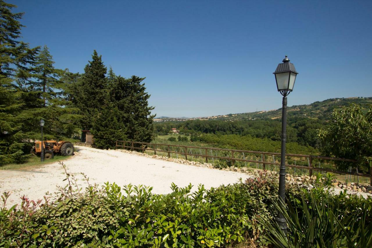 Il Vecchio Gelso - Agriturismo Rimini Montefiore Conca别墅 外观 照片