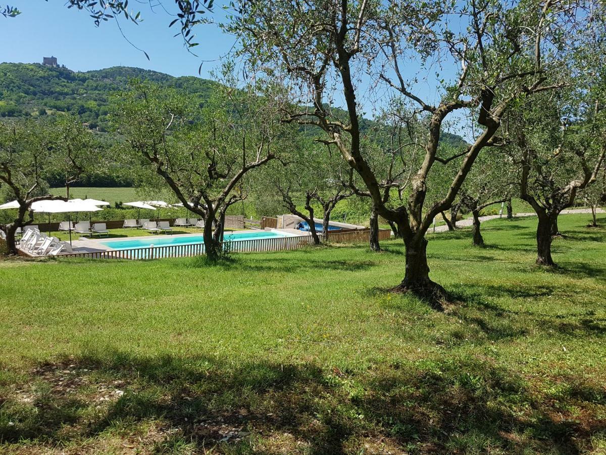Il Vecchio Gelso - Agriturismo Rimini Montefiore Conca别墅 外观 照片
