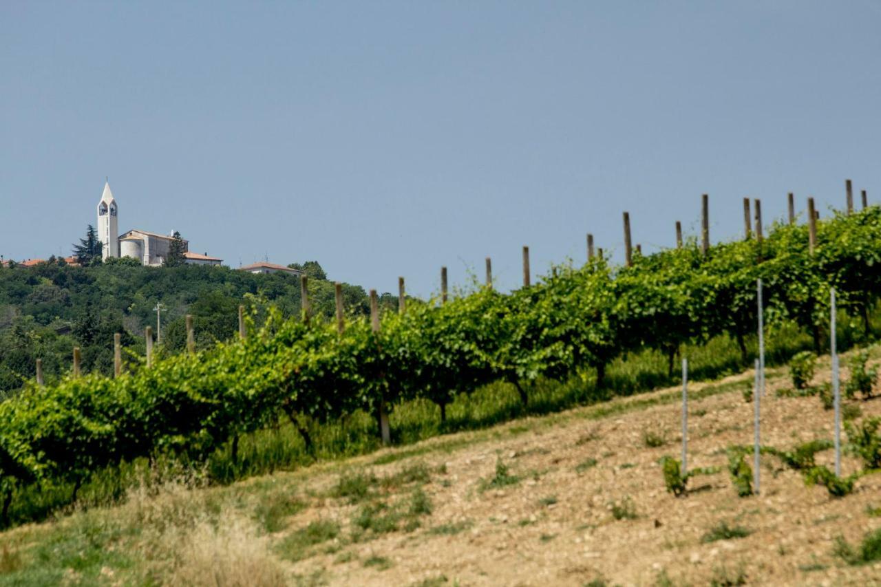 Il Vecchio Gelso - Agriturismo Rimini Montefiore Conca别墅 外观 照片
