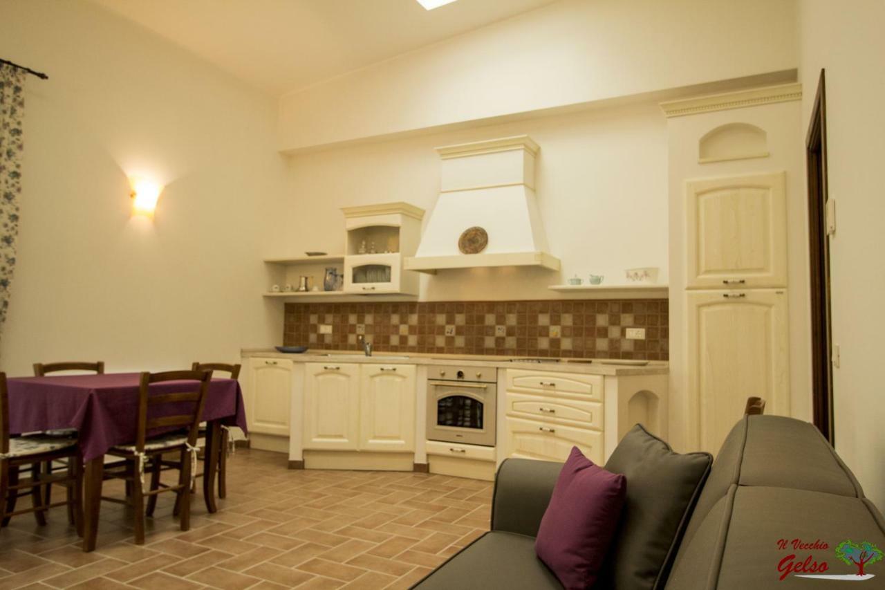 Il Vecchio Gelso - Agriturismo Rimini Montefiore Conca别墅 外观 照片